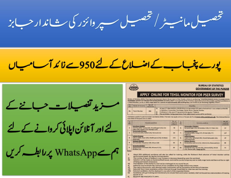 950+ Tehsil Monitors Jobs in Punjab