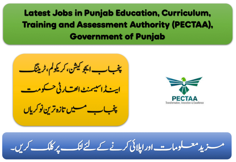 Latest Jobs in Punjab Education, Curriculum, Training and Assessment Authority (PECTAA), Government of Punjab